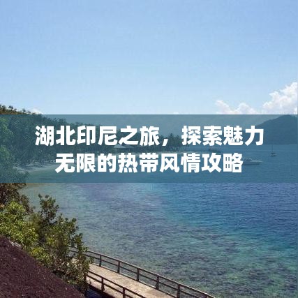 湖北印尼之旅,探索魅力无限的热带风情攻略
