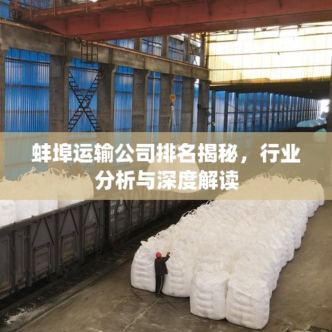 蚌埠运输公司排名揭秘,行业分析与深度解读