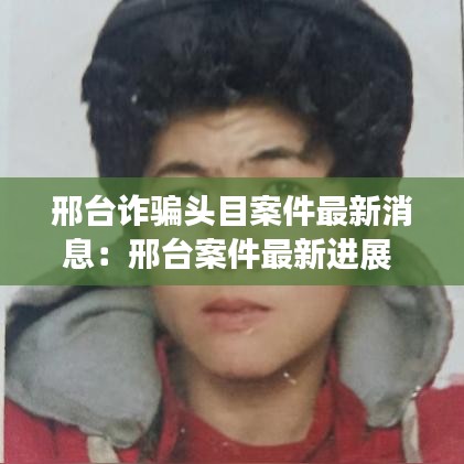 邢台诈骗头目案件最新消息:邢台案件最新进展