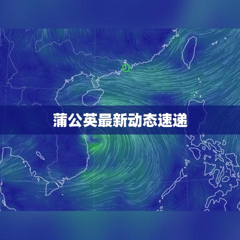 蒲公英最新动态速递