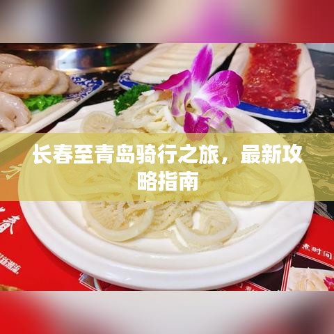 长春至青岛骑行之旅，最新攻略指南