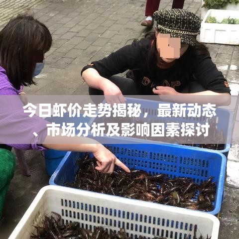 今日虾价走势揭秘,最新动态、市场分析及影响因素探讨