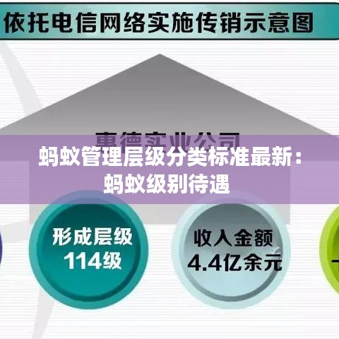 蚂蚁管理层级分类标准最新:蚂蚁级别待遇