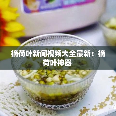 摘荷叶新闻视频大全最新:摘荷叶神器