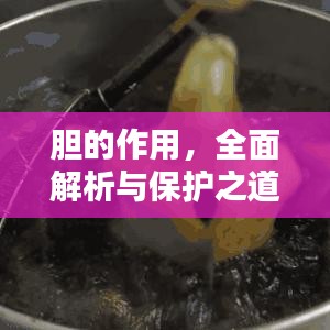 胆的作用,全面解析与保护之道
