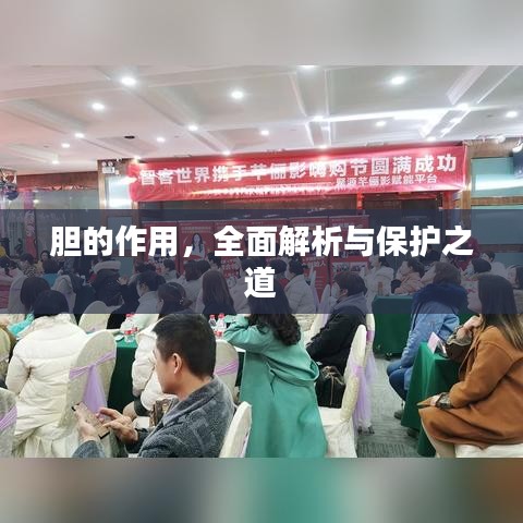 胆的作用,全面解析与保护之道