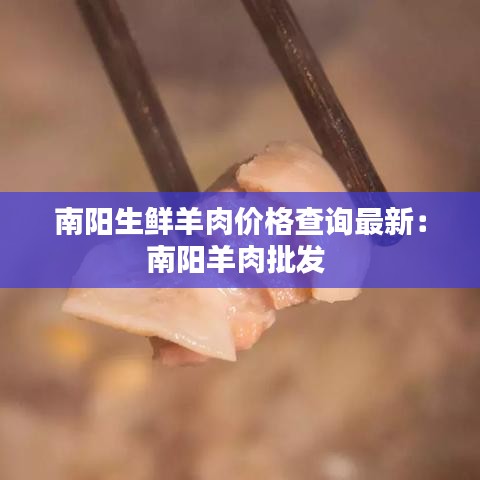 南阳生鲜羊肉价格查询最新：南阳羊肉批发 