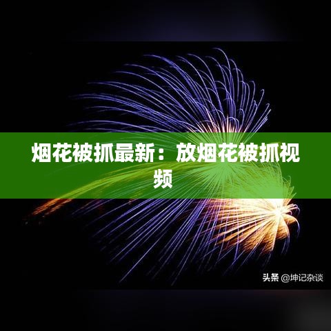 烟花被抓最新：放烟花被抓视频 