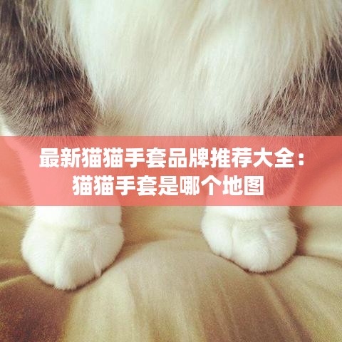 最新猫猫手套品牌推荐大全:猫猫手套是哪个地图