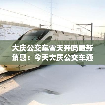 大庆公交车雪天开吗最新消息:今天大庆公交车通了吗