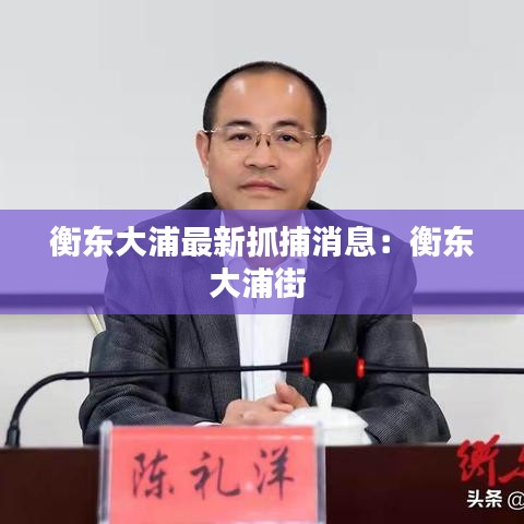 衡东大浦最新抓捕消息:衡东大浦街