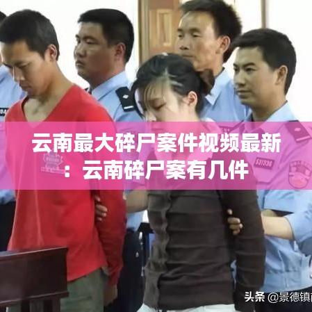 云南最大碎尸案件视频最新:云南碎尸案有几件