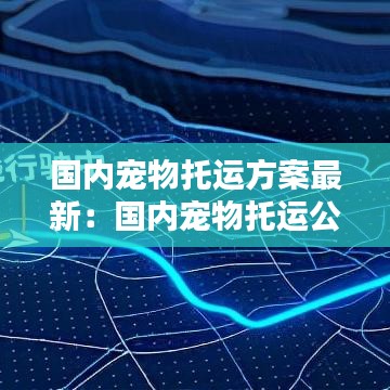 国内宠物托运方案最新:国内宠物托运公司排名