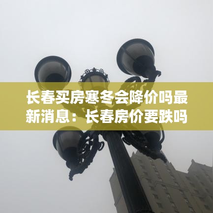 集思广益 第5页