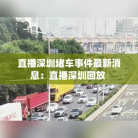 直播深圳堵车事件最新消息:直播深圳回放