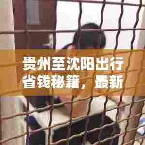 贵州至沈阳出行省钱秘籍,最新攻略分享!