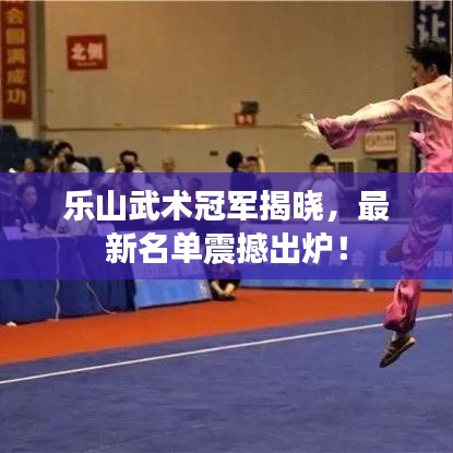 乐山武术冠军揭晓，最新名单震撼出炉！