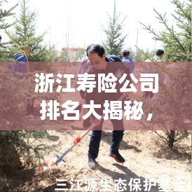 浙江寿险公司排名大揭秘,竞争态势与市场份额深度解析