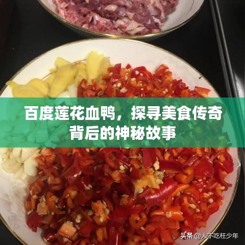 百度莲花血鸭,探寻美食传奇背后的神秘故事
