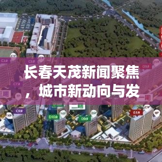 长春天茂新闻聚焦，城市新动向与发展活力大放异彩