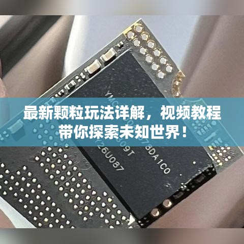 百鸟归巢 第4页