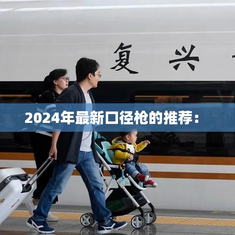 2024年最新口径枪的推荐: