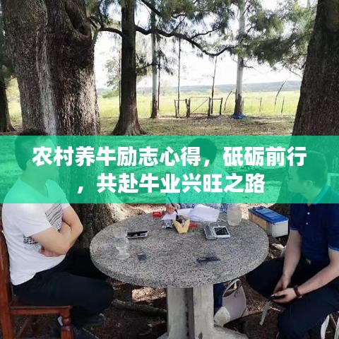 农村养牛励志心得,砥砺前行,共赴牛业兴旺之路