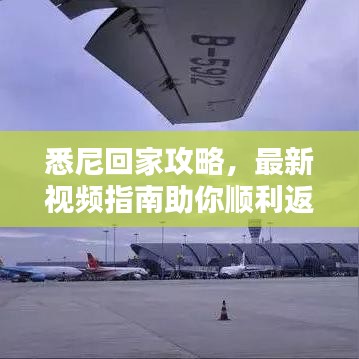 悉尼回家攻略,最新视频指南助你顺利返程!