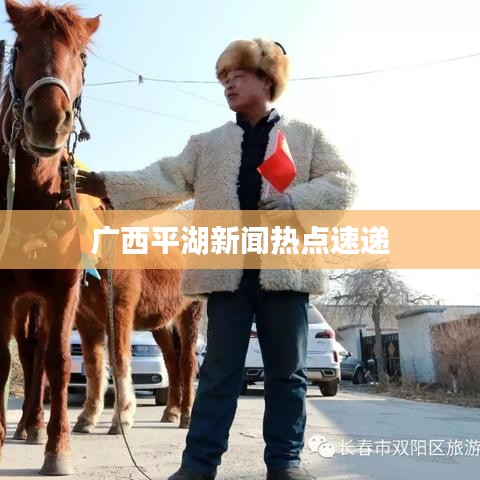 广西平湖新闻热点速递