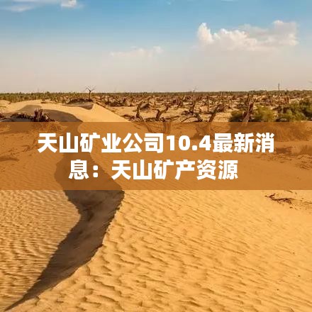 天山矿业公司10.4最新消息:天山矿产资源
