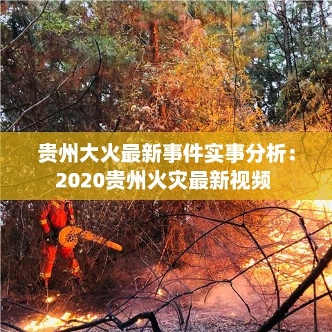 贵州大火最新事件实事分析：2020贵州火灾最新视频 