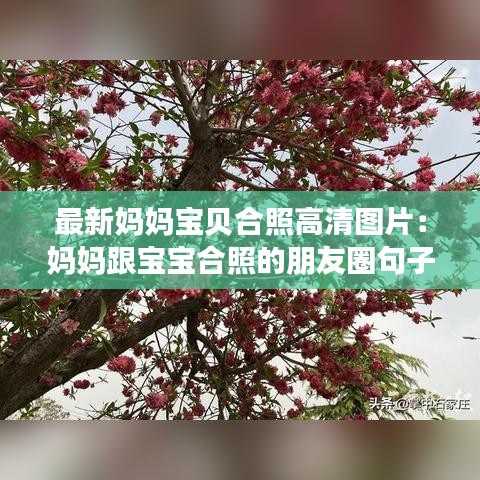 草率收兵 第5页