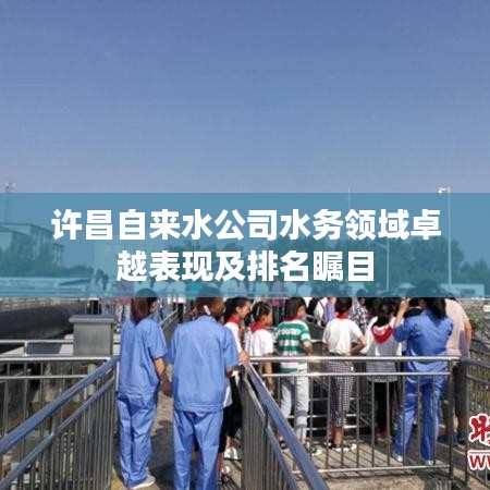 许昌自来水公司水务领域卓越表现及排名瞩目