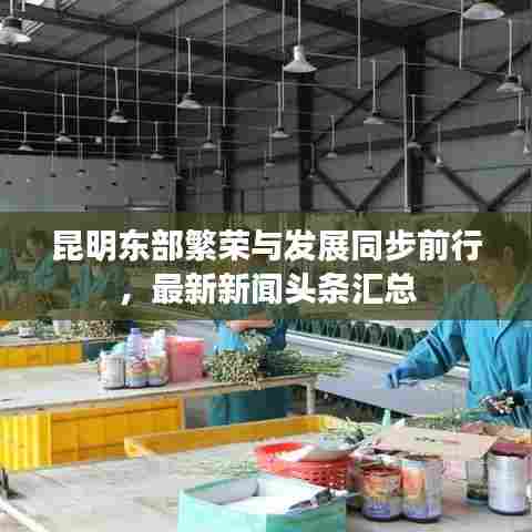 昆明东部繁荣与发展同步前行,最新新闻头条汇总