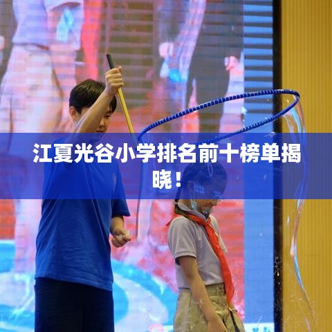 江夏光谷小学排名前十榜单揭晓!