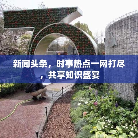 新闻头条,时事热点一网打尽,共享知识盛宴