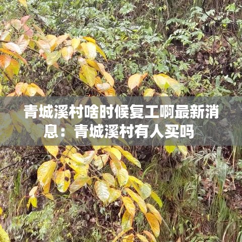 青城溪村啥时候复工啊最新消息：青城溪村有人买吗 
