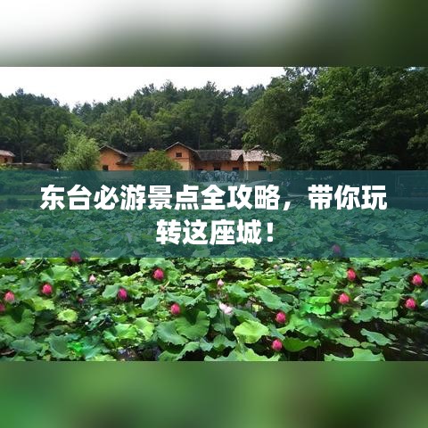 东台必游景点全攻略,带你玩转这座城!