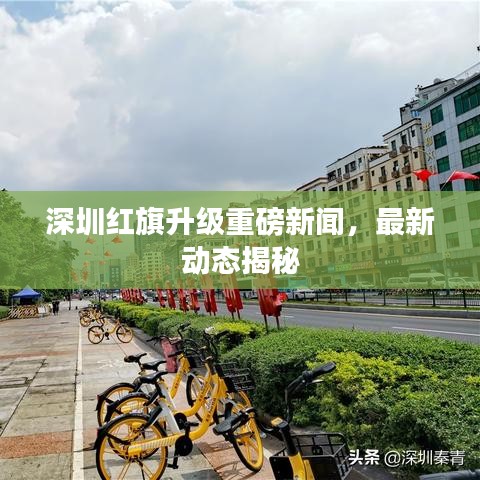 飞扬跋扈 第4页