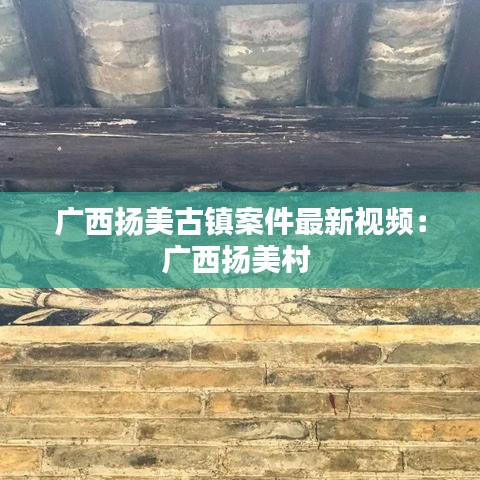 广西扬美古镇案件最新视频:广西扬美村