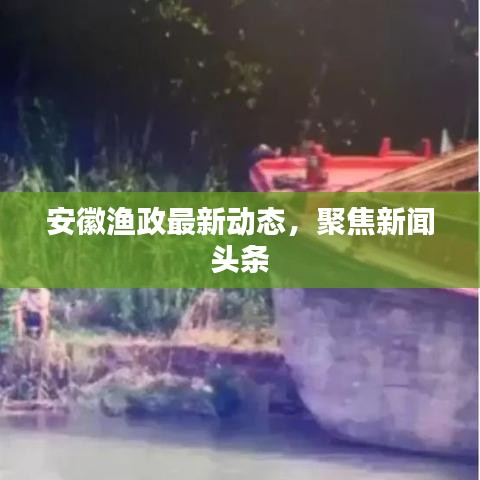 安徽渔政最新动态，聚焦新闻头条