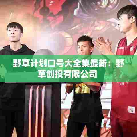 野草计划口号大全集最新:野草创投有限公司