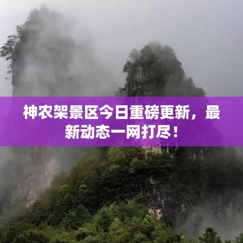 打张鸡儿 第4页