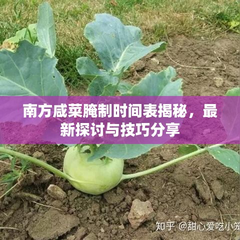 随方就圆 第5页