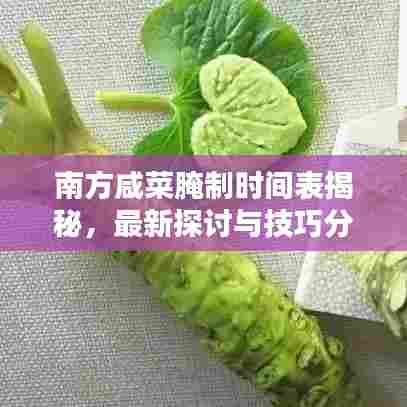 南方咸菜腌制时间表揭秘,最新探讨与技巧分享