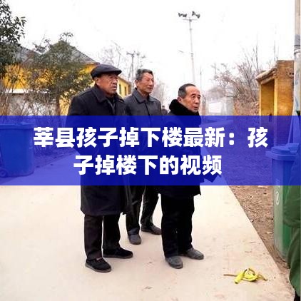 莘县孩子掉下楼最新:孩子掉楼下的视频