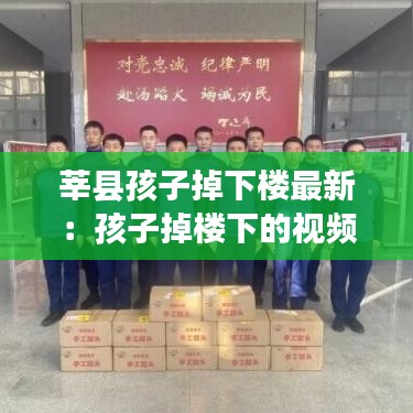 莘县孩子掉下楼最新:孩子掉楼下的视频