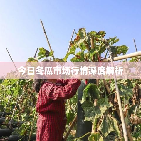 秀外慧中 第4页