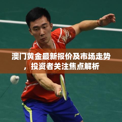 澳门黄金最新报价及市场走势，投资者关注焦点解析