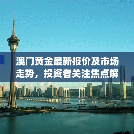 澳门黄金最新报价及市场走势,投资者关注焦点解析